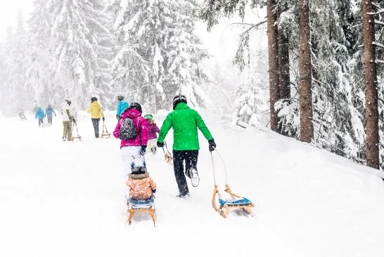 Tobogganing-in-the-Wilder-Kaiser-region